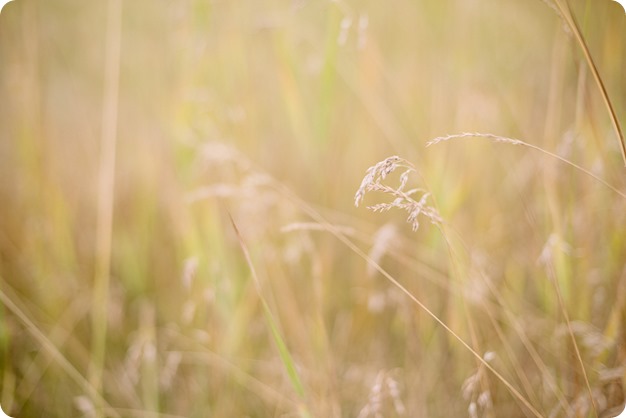 Banff-portraits_moss-forest_Fairmont-bohemian-family-session-newborn_15_by-Kevin-Trowbridge