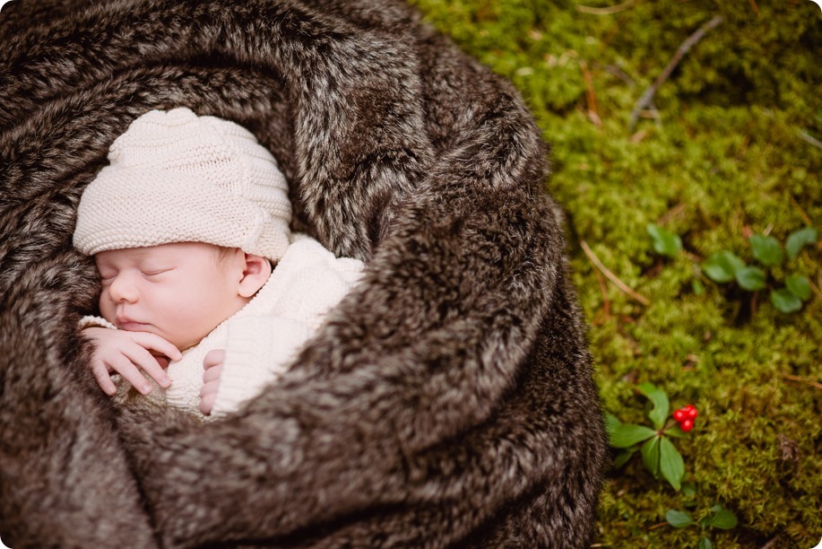 Banff-portraits_moss-forest_Fairmont-bohemian-family-session-newborn_45_by-Kevin-Trowbridge