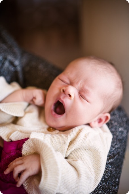 Lake-Loiuse-portraits_Fairmont-family-session-newborn_17_by-Kevin-Trowbridge