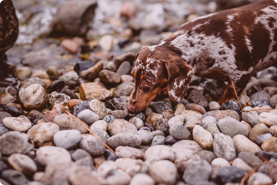 Okanagan-engagement-session_camping-lake-portraits_dog-tent-coffee-campfire_20_by-Kevin-Trowbridge