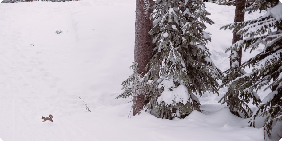 Silverstar-engagement-session_outdoor-skating-portraits_snow-pond-coffeeshop_19_by-Kevin-Trowbridge