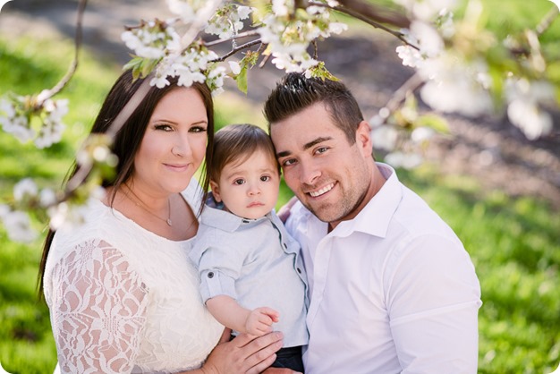 Cake-Smash_portrait-session-in-cherry-blossom-orchard_Kelowna_06_by-Kevin-Trowbridge
