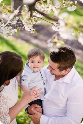 Cake-Smash_portrait-session-in-cherry-blossom-orchard_Kelowna_08_by-Kevin-Trowbridge