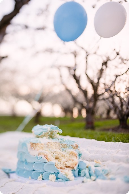 Cake-Smash_portrait-session-in-cherry-blossom-orchard_Kelowna_101_by-Kevin-Trowbridge