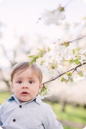Cake-Smash_portrait-session-in-cherry-blossom-orchard_Kelowna_17_by-Kevin-Trowbridge