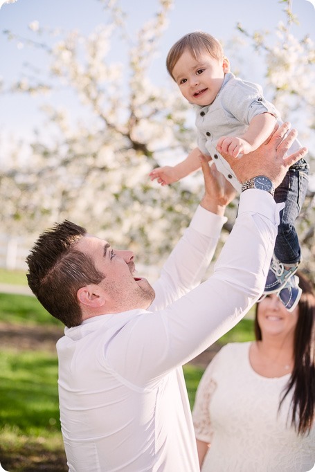Cake-Smash_portrait-session-in-cherry-blossom-orchard_Kelowna_21_by-Kevin-Trowbridge