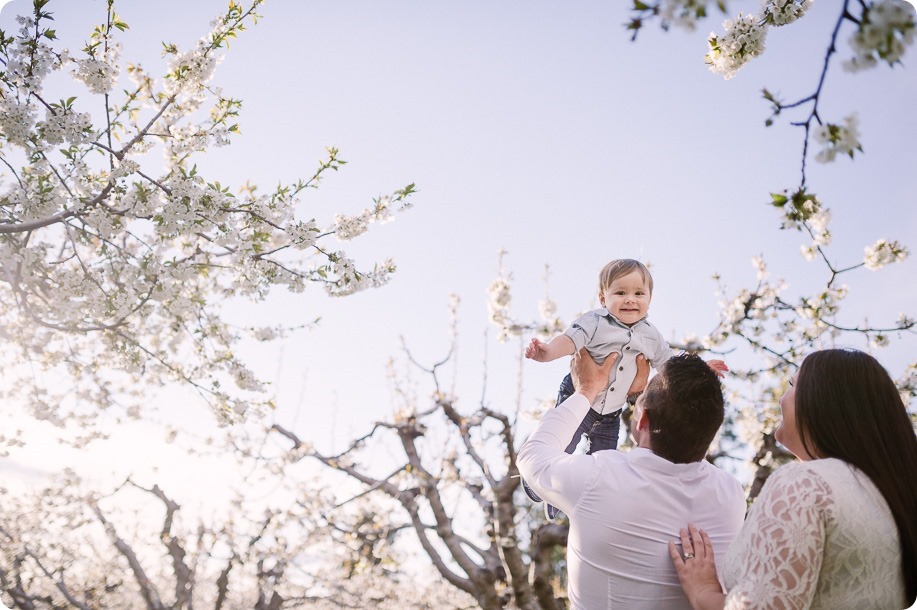 Cake-Smash_portrait-session-in-cherry-blossom-orchard_Kelowna_22_by-Kevin-Trowbridge