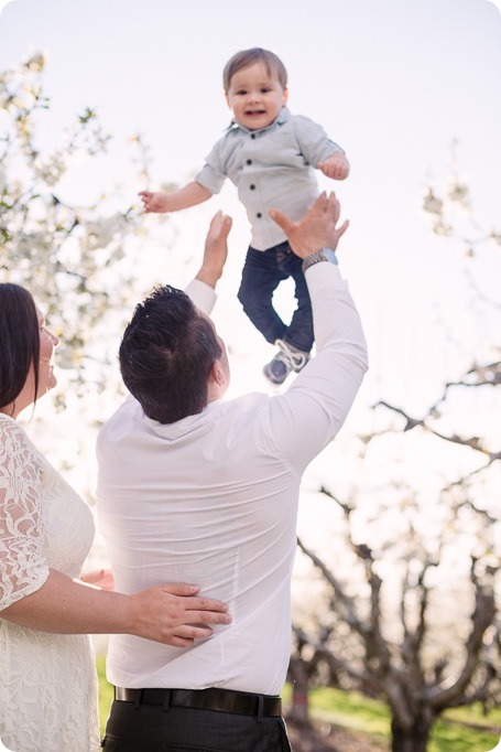 Cake-Smash_portrait-session-in-cherry-blossom-orchard_Kelowna_23_by-Kevin-Trowbridge