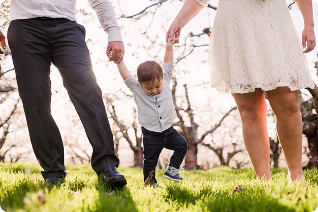 Cake-Smash_portrait-session-in-cherry-blossom-orchard_Kelowna_30_by-Kevin-Trowbridge