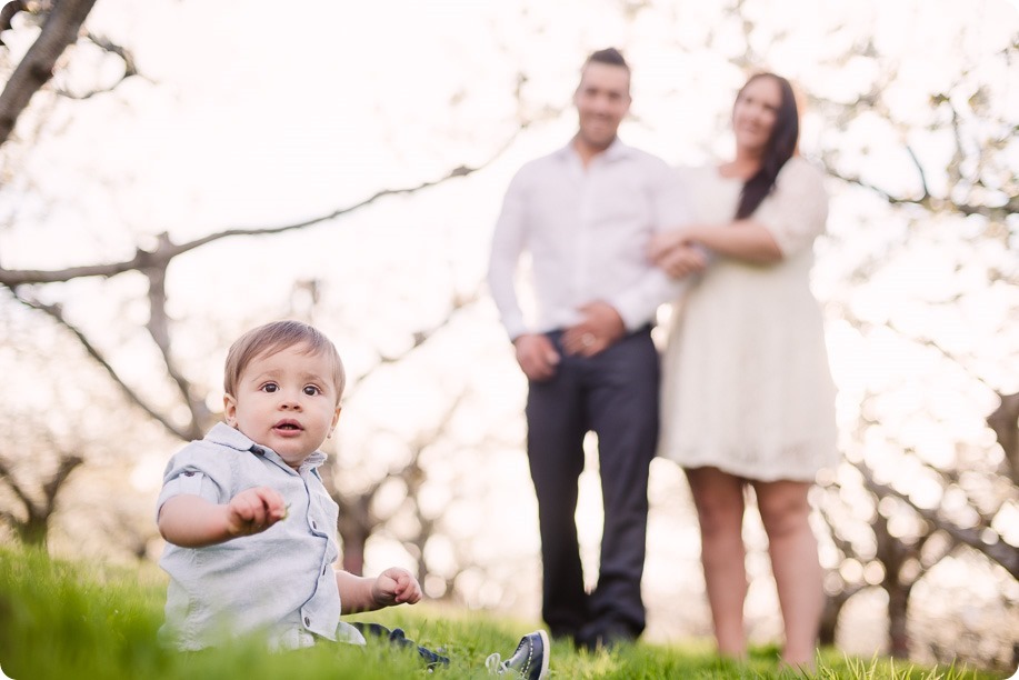 Cake-Smash_portrait-session-in-cherry-blossom-orchard_Kelowna_38_by-Kevin-Trowbridge