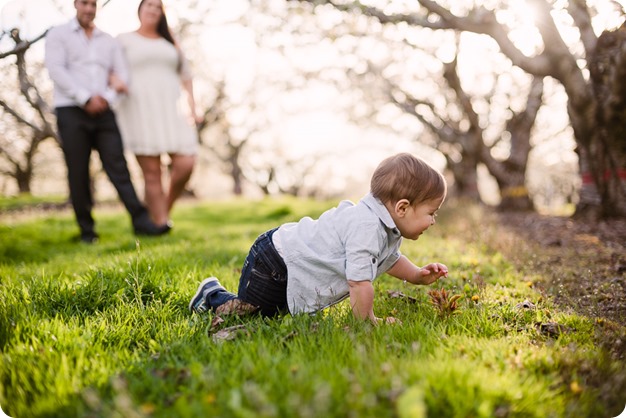 Cake-Smash_portrait-session-in-cherry-blossom-orchard_Kelowna_39_by-Kevin-Trowbridge