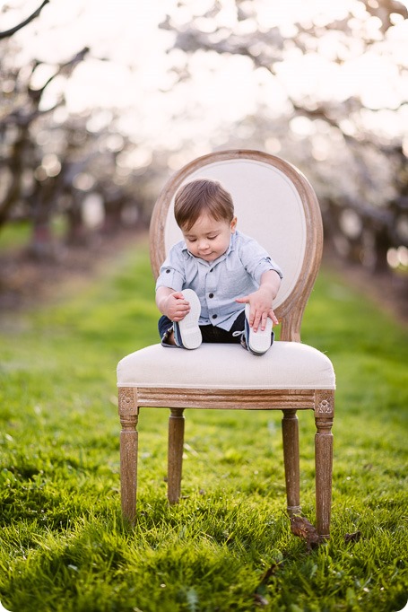 Cake-Smash_portrait-session-in-cherry-blossom-orchard_Kelowna_46_by-Kevin-Trowbridge