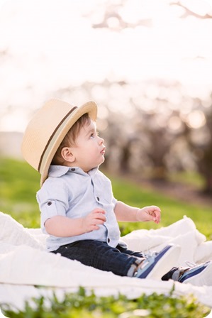 Cake-Smash_portrait-session-in-cherry-blossom-orchard_Kelowna_55_by-Kevin-Trowbridge