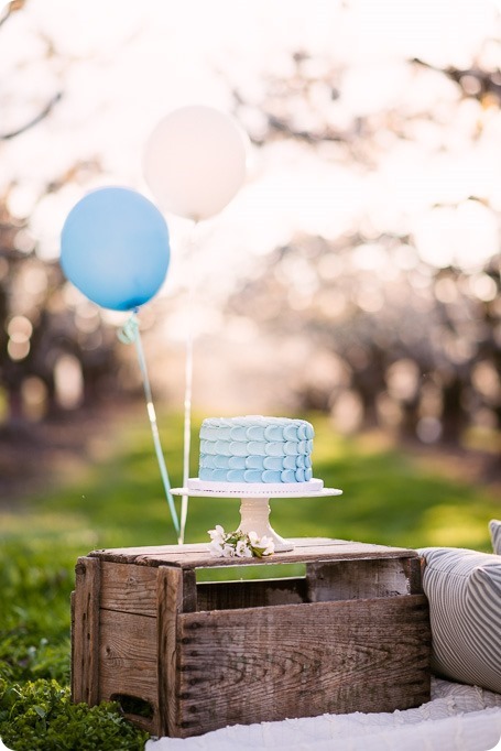 Cake-Smash_portrait-session-in-cherry-blossom-orchard_Kelowna_62_by-Kevin-Trowbridge