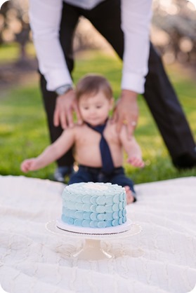 Cake-Smash_portrait-session-in-cherry-blossom-orchard_Kelowna_72_by-Kevin-Trowbridge