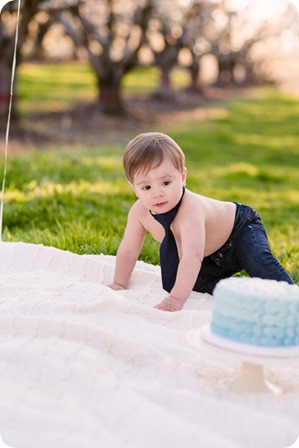 Cake-Smash_portrait-session-in-cherry-blossom-orchard_Kelowna_74_by-Kevin-Trowbridge