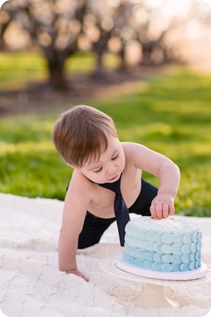 Cake-Smash_portrait-session-in-cherry-blossom-orchard_Kelowna_75_by-Kevin-Trowbridge