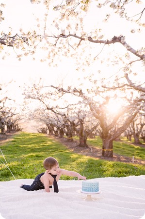 Cake-Smash_portrait-session-in-cherry-blossom-orchard_Kelowna_77_by-Kevin-Trowbridge