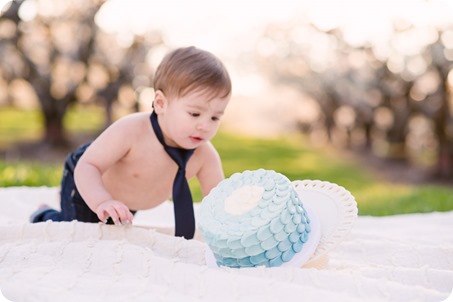 Cake-Smash_portrait-session-in-cherry-blossom-orchard_Kelowna_79_by-Kevin-Trowbridge