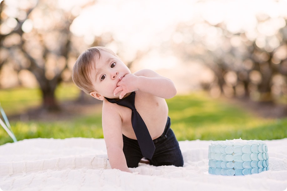 Cake-Smash_portrait-session-in-cherry-blossom-orchard_Kelowna_84_by-Kevin-Trowbridge