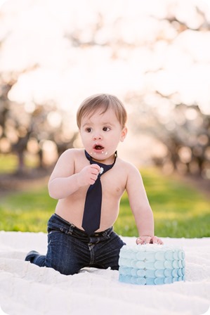 Cake-Smash_portrait-session-in-cherry-blossom-orchard_Kelowna_87_by-Kevin-Trowbridge