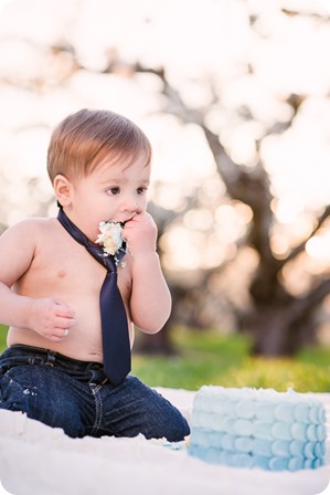 Cake-Smash_portrait-session-in-cherry-blossom-orchard_Kelowna_92_by-Kevin-Trowbridge