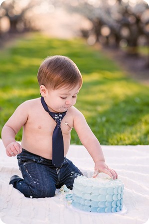 Cake-Smash_portrait-session-in-cherry-blossom-orchard_Kelowna_94_by-Kevin-Trowbridge