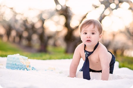 Cake-Smash_portrait-session-in-cherry-blossom-orchard_Kelowna_97_by-Kevin-Trowbridge