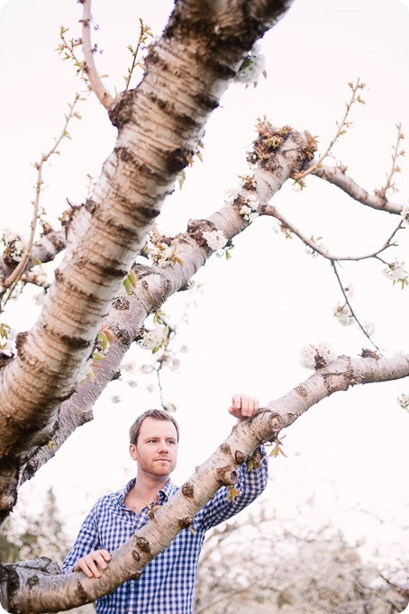 Kelowna-wedding-photographer_cherry-blossom-engagement-session_sunset-couples-portraits_tandem-bike__40475_by-Kevin-Trowbridge