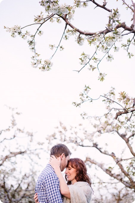 Kelowna-wedding-photographer_cherry-blossom-engagement-session_sunset-couples-portraits_tandem-bike__40449_by-Kevin-Trowbridge