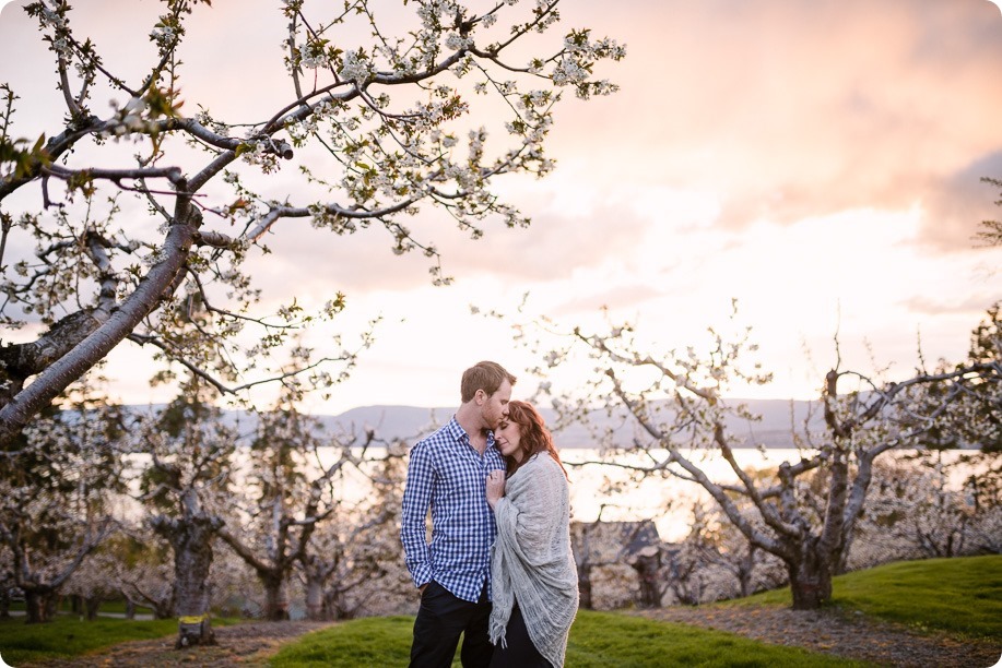 Kelowna-wedding-photographer_cherry-blossom-engagement-session_sunset-couples-portraits_tandem-bike__86141_by-Kevin-Trowbridge