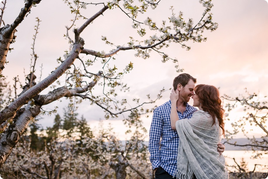 Kelowna-wedding-photographer_cherry-blossom-engagement-session_sunset-couples-portraits_tandem-bike__86154_by-Kevin-Trowbridge