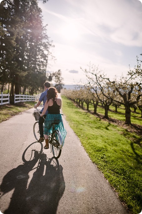 Kelowna-wedding-photographer_cherry-blossom-engagement-session_sunset-couples-portraits_tandem-bike__85415_by-Kevin-Trowbridge