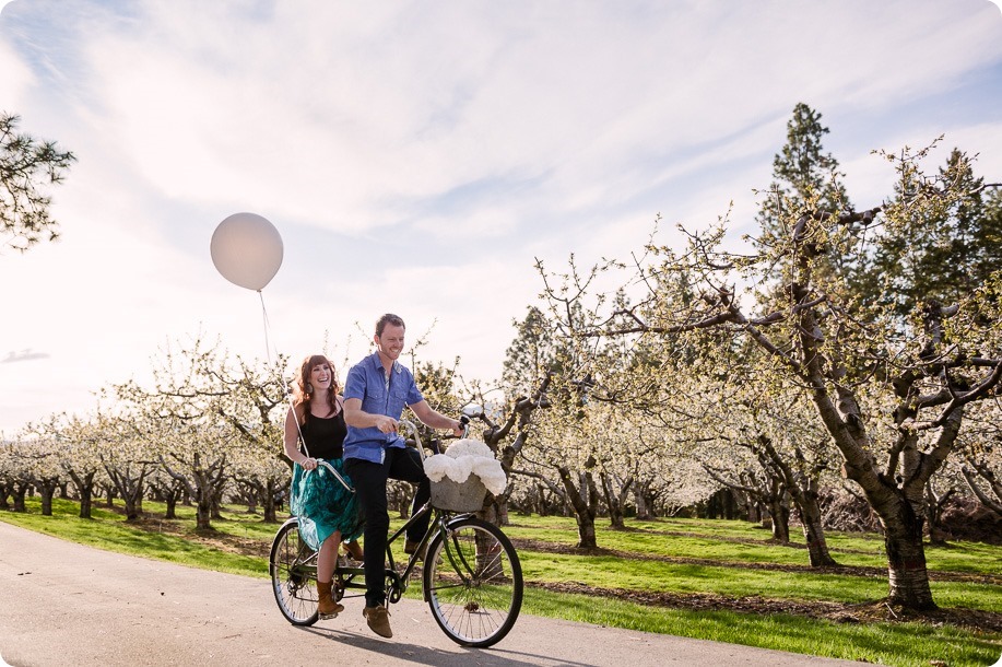 Kelowna-wedding-photographer_cherry-blossom-engagement-session_sunset-couples-portraits_tandem-bike__40221_by-Kevin-Trowbridge