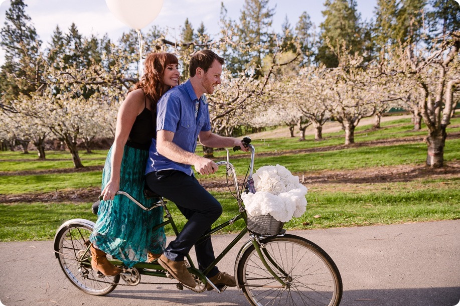 Kelowna-wedding-photographer_cherry-blossom-engagement-session_sunset-couples-portraits_tandem-bike__40266_by-Kevin-Trowbridge