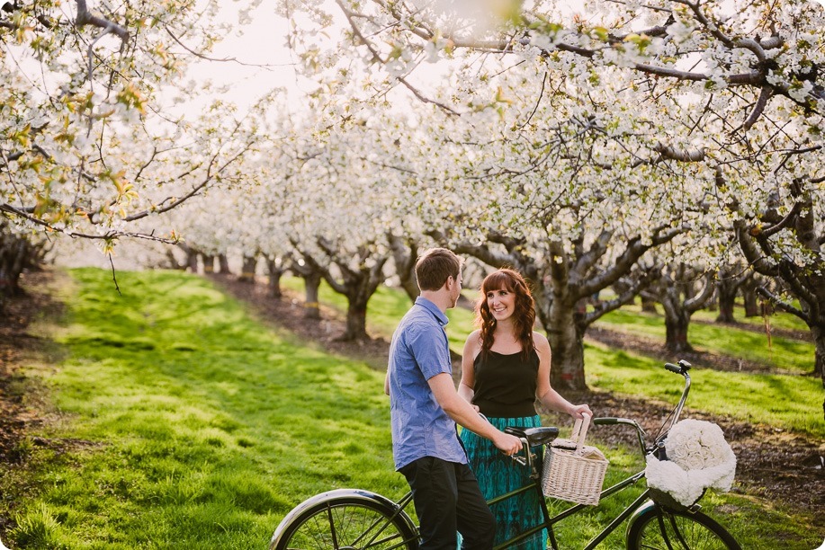 Kelowna-wedding-photographer_cherry-blossom-engagement-session_sunset-couples-portraits_tandem-bike__85652_by-Kevin-Trowbridge