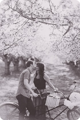 Kelowna-wedding-photographer_cherry-blossom-engagement-session_sunset-couples-portraits_tandem-bike__85665_by-Kevin-Trowbridge