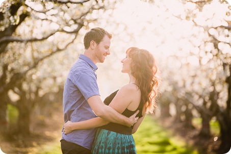 Kelowna-wedding-photographer_cherry-blossom-engagement-session_sunset-couples-portraits_tandem-bike__85757_by-Kevin-Trowbridge