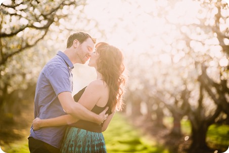 Kelowna-wedding-photographer_cherry-blossom-engagement-session_sunset-couples-portraits_tandem-bike__85760_by-Kevin-Trowbridge