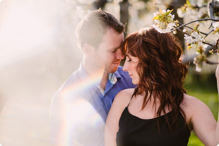 Kelowna-wedding-photographer_cherry-blossom-engagement-session_sunset-couples-portraits_tandem-bike__85801_by-Kevin-Trowbridge