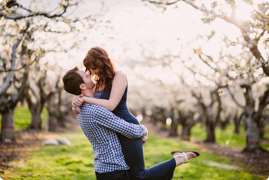 Kelowna-wedding-photographer_cherry-blossom-engagement-session_sunset-couples-portraits_tandem-bike___by-Kevin-Trowbridge