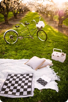 Kelowna-wedding-photographer_cherry-blossom-engagement-session_sunset-couples-portraits_tandem-bike__40349_by-Kevin-Trowbridge