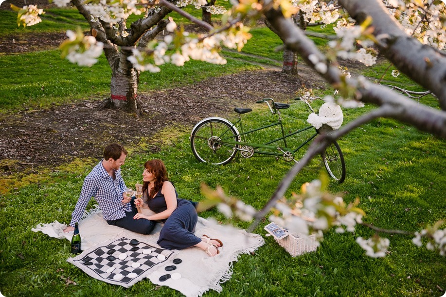 Kelowna-wedding-photographer_cherry-blossom-engagement-session_sunset-couples-portraits_tandem-bike__86098_by-Kevin-Trowbridge