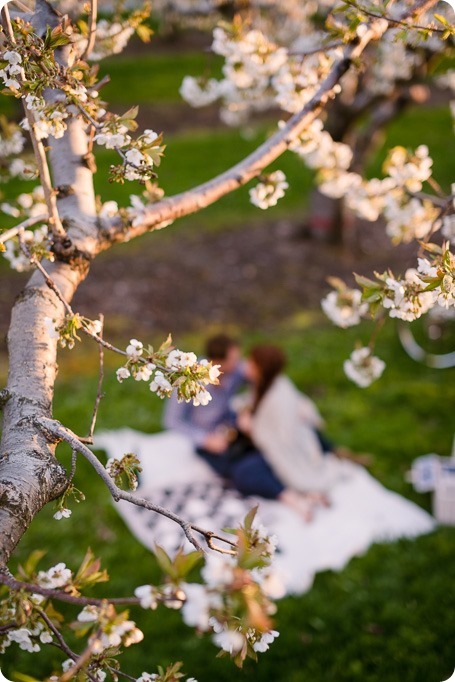 Kelowna-wedding-photographer_cherry-blossom-engagement-session_sunset-couples-portraits_tandem-bike__86109_by-Kevin-Trowbridge