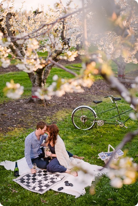 Kelowna-wedding-photographer_cherry-blossom-engagement-session_sunset-couples-portraits_tandem-bike__86120_by-Kevin-Trowbridge