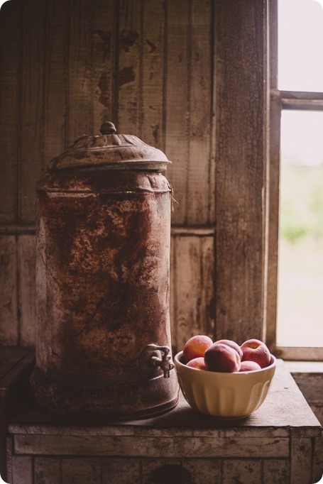 Kelowna-engagement-session_farmhouse_lake-portraits_32_by-Kevin-Trowbridge