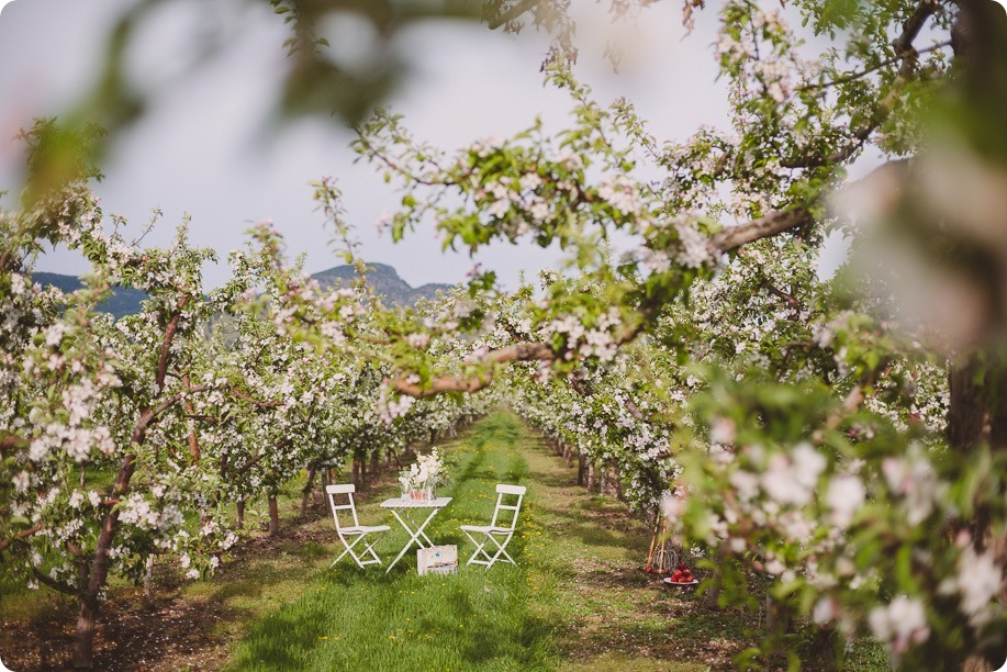 Kelowna-engagement-session_orchard-blossom_croquet-portraits_vintage-floral-dress_01_by-Kevin-Trowbridge