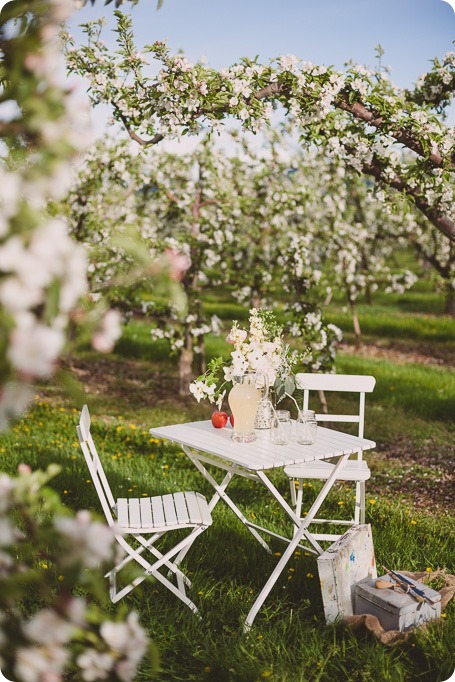 Kelowna-engagement-session_orchard-blossom_croquet-portraits_vintage-floral-dress_04_by-Kevin-Trowbridge