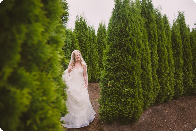 Summerhill-Winery-wedding_Okanagan-Lavender-Farm-first-look_Kelowna_49_by-Kevin-Trowbridge-photography_Kelowna