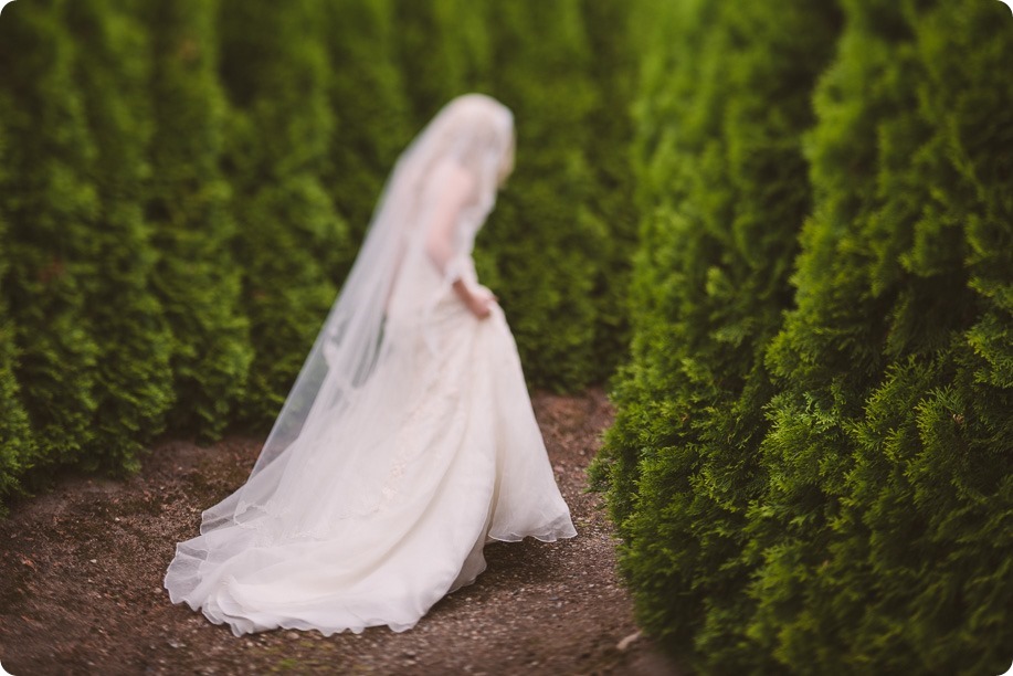 Summerhill-Winery-wedding_Okanagan-Lavender-Farm-first-look_Kelowna_60_by-Kevin-Trowbridge-photography_Kelowna